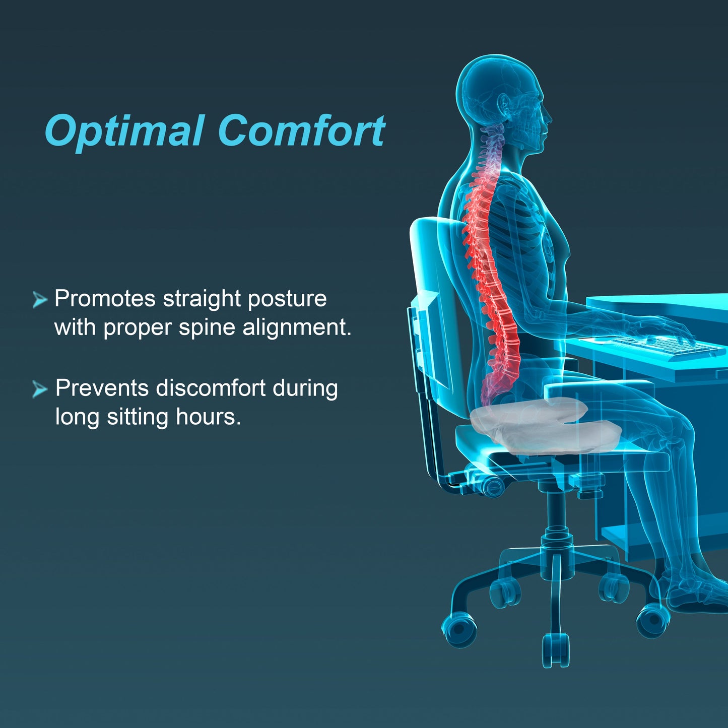TYNOR H-23 ORTHO CUSHION SEAT