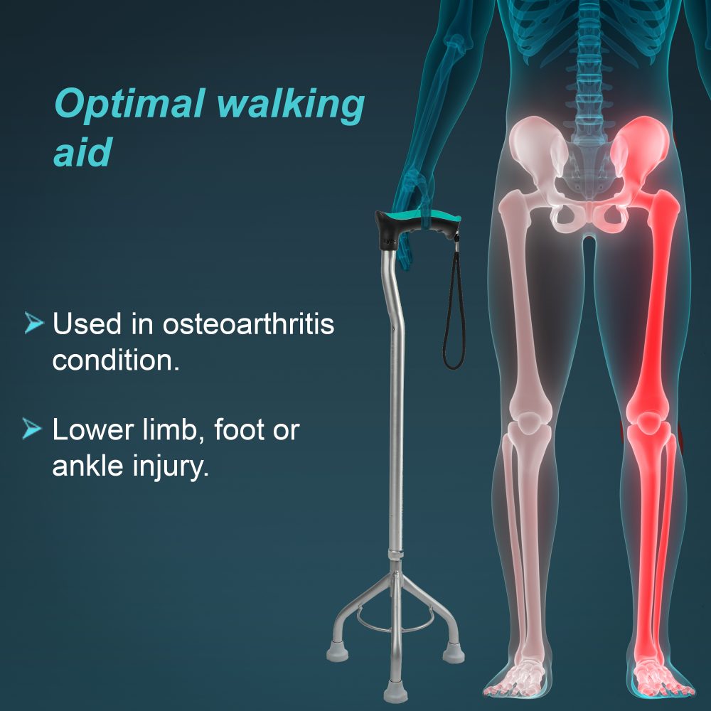 Tynor Walking Stick Tripod