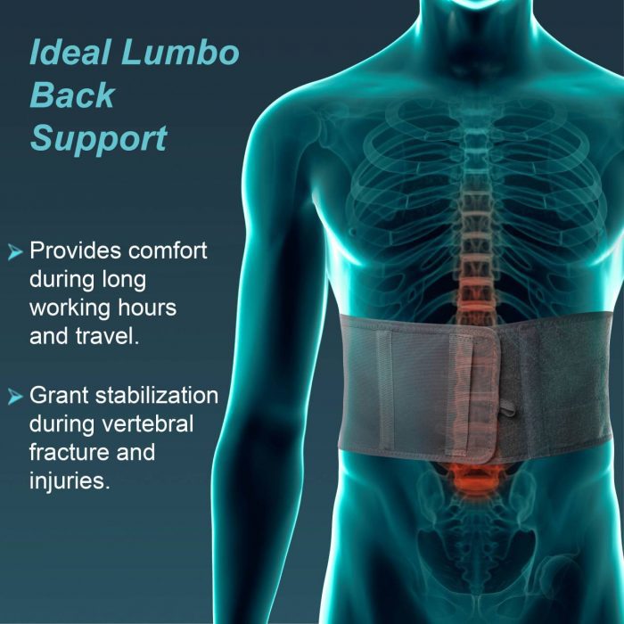 TYNOR A-15 LUMBO SUPPORT, GREY, 1 UNIT