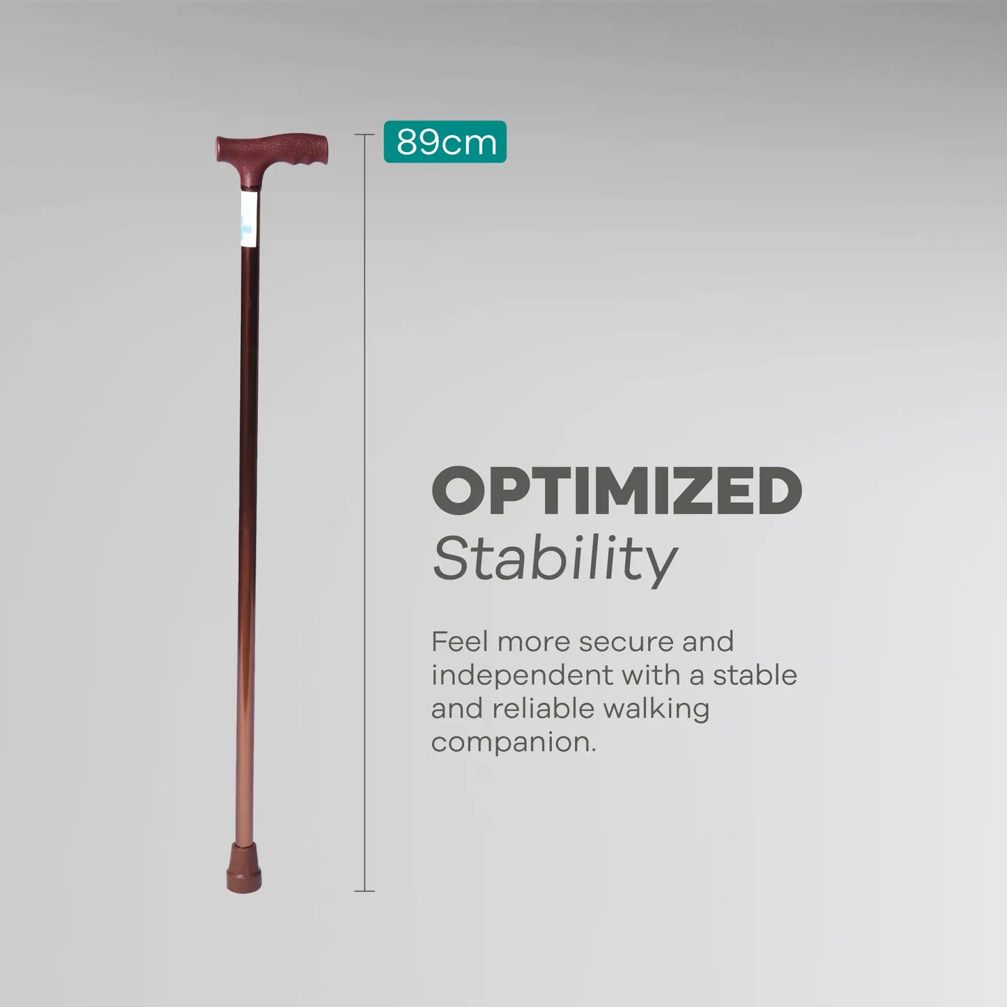 Walking Stick - Anti Skid - ARREX MS10