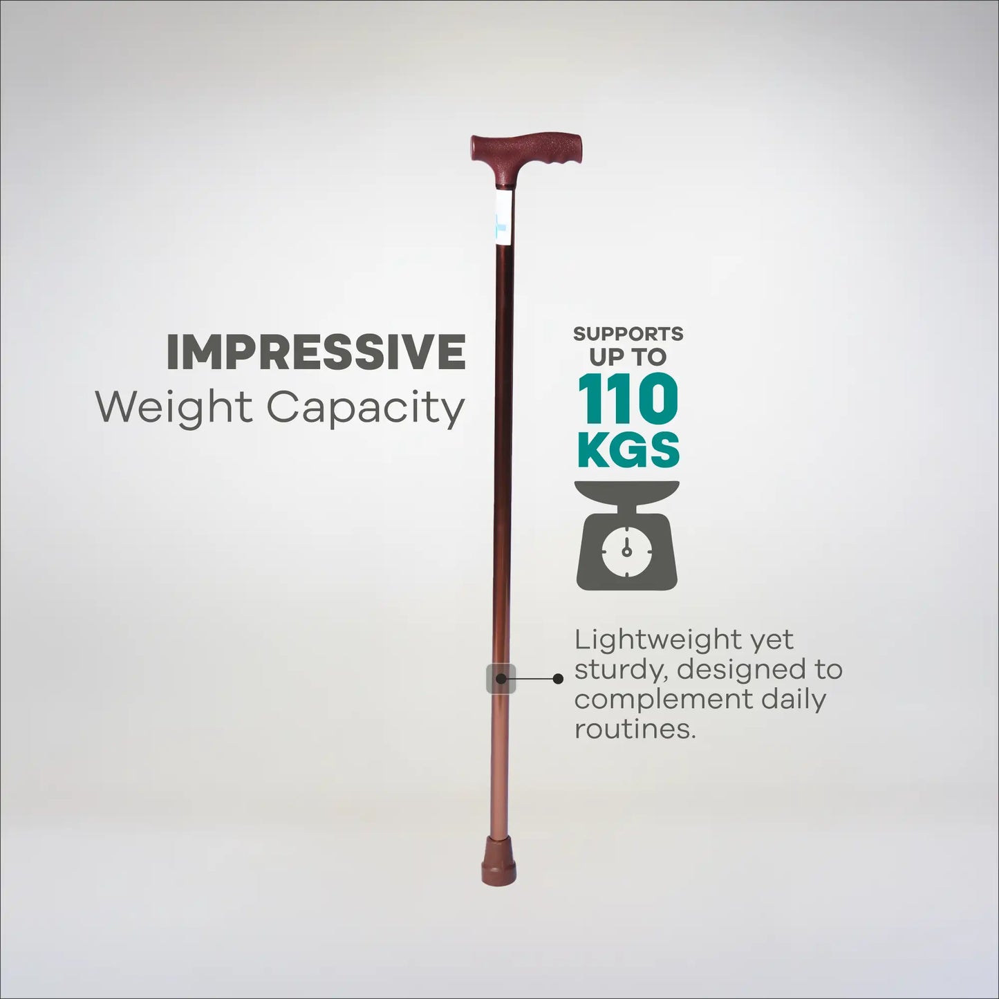 Walking Stick - Anti Skid - ARREX MS10