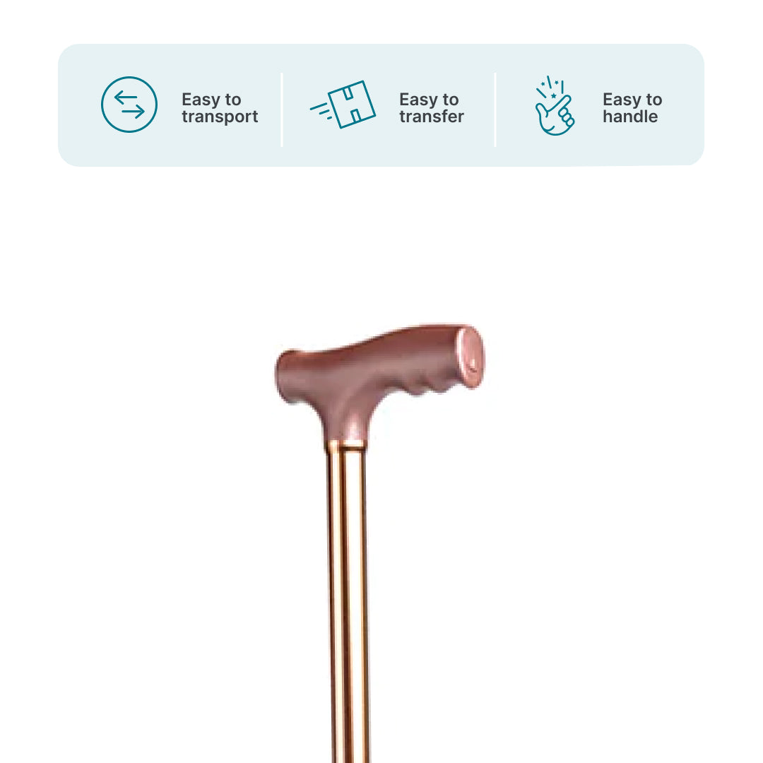 ARREX MS10 WALKING STICK