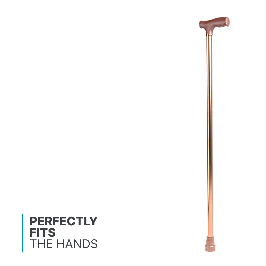 ARREX MS10 WALKING STICK