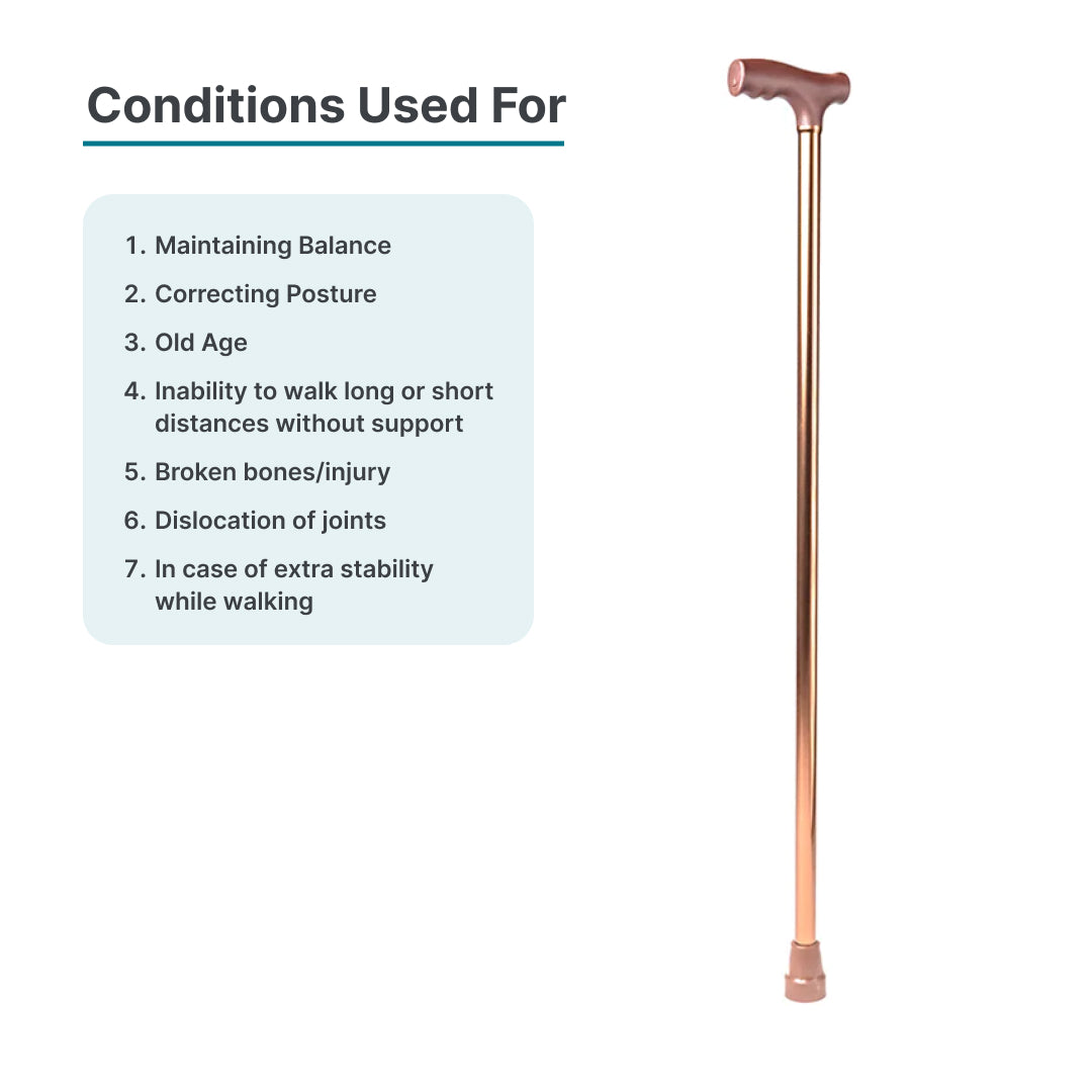 ARREX MS10 WALKING STICK