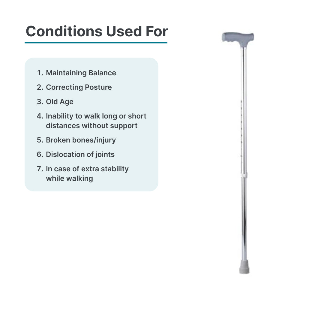 ARREX MS20 WALKING STICK