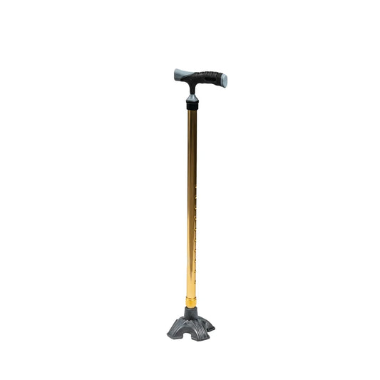 Arrex MS350 walking sticks