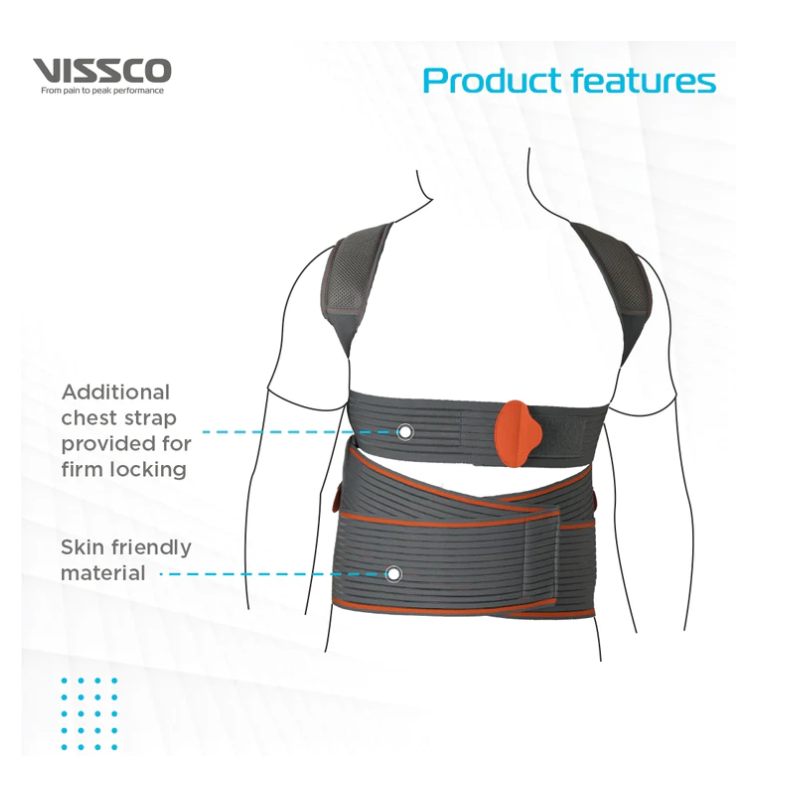 vissco dorso lumbar spinal brace (taylor brace)