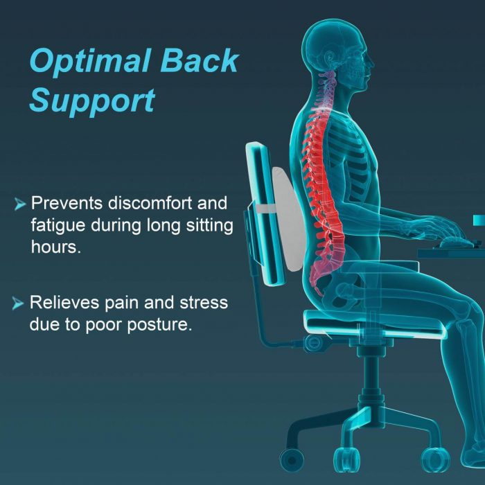 TYNOR I-91 LUMBO BACK REST