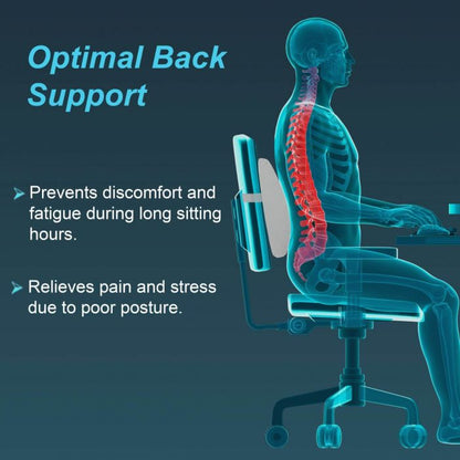 TYNOR I-91 LUMBO BACK REST