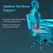 Coccyx Cushion Seat for Tailbone Pain Relief Tynor H-13