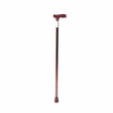 Walking Stick - Anti Skid - ARREX MS10