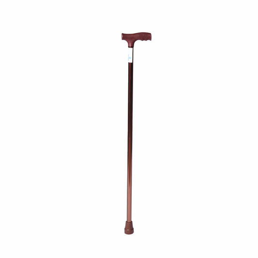 Walking Stick - Anti Skid - ARREX MS10