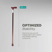 Walking Stick - Anti Skid - ARREX MS10