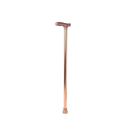 ARREX MS10 WALKING STICK
