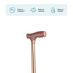 ARREX MS10 WALKING STICK