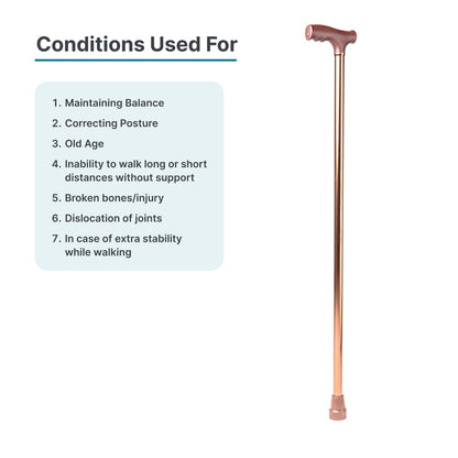 ARREX MS10 WALKING STICK