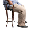 ARREX MS190 WALKING STICKS