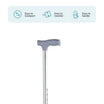 ARREX MS20 WALKING STICK