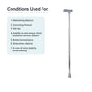 ARREX MS20 WALKING STICK