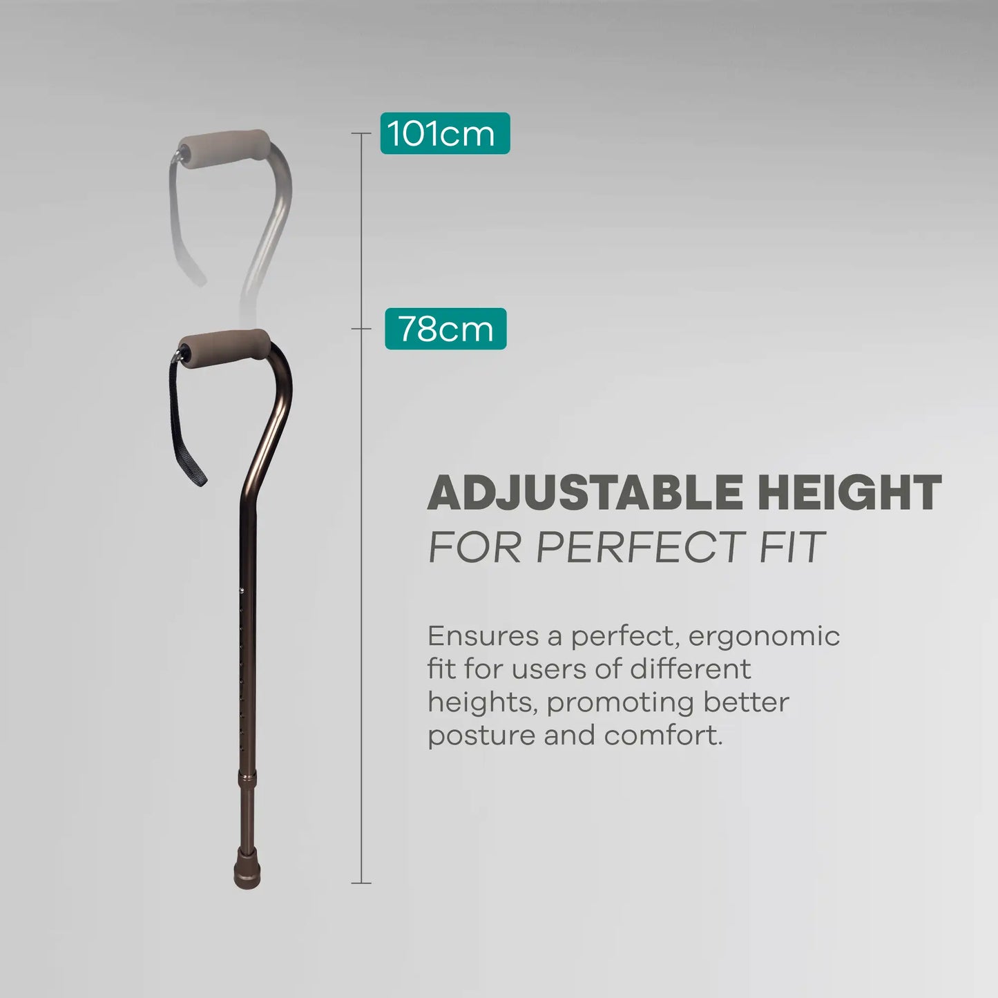 Adjustable Height Walking Stick - Anti Skid - ARREX MS210