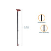 ARREX MS30 WALKING STICK