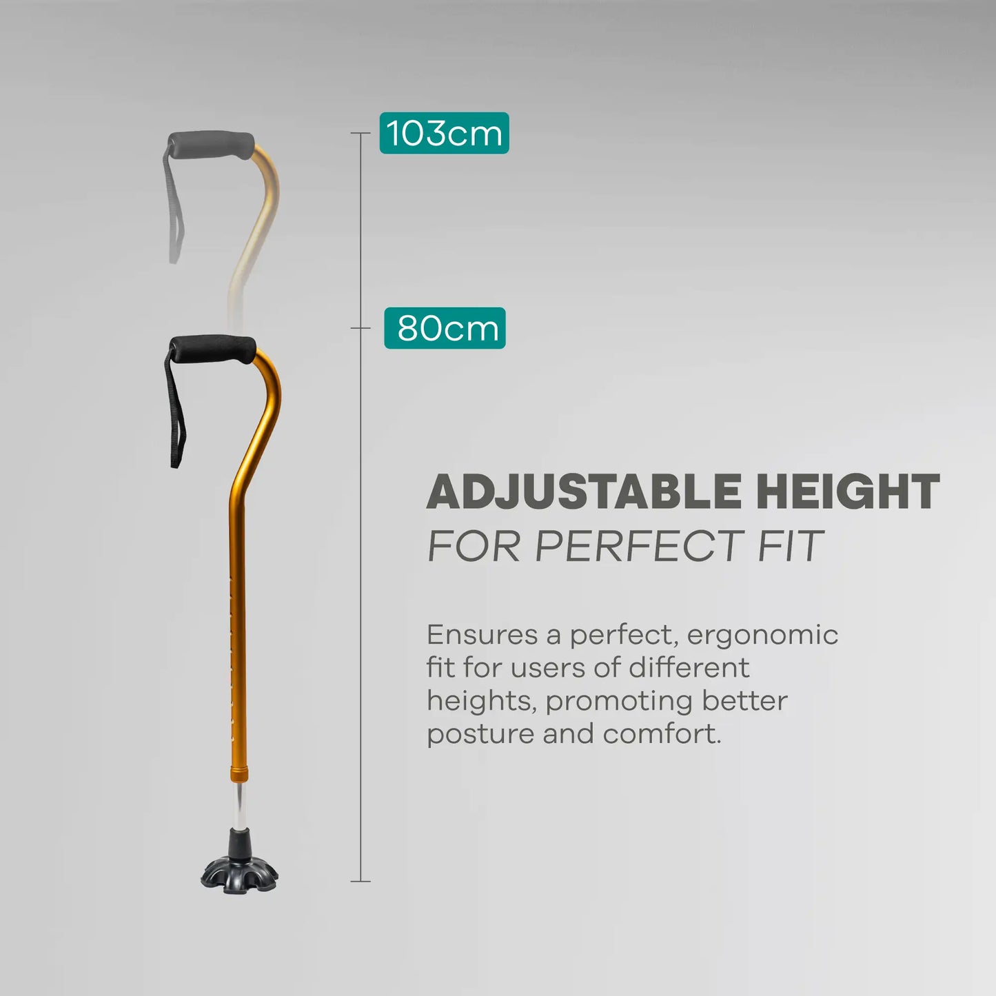 Quadripod Adjustable Height Walking Stick - Anti Skid - ARREX MS310