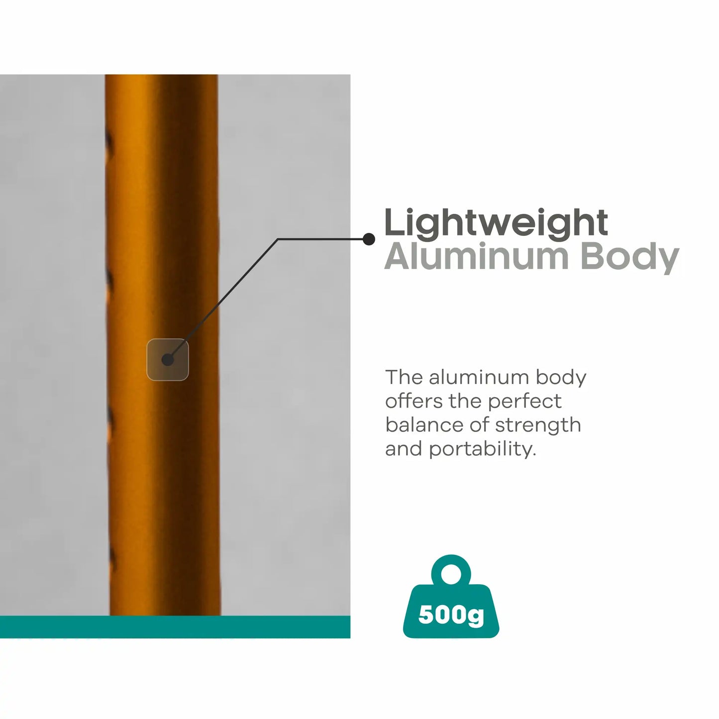 Quadripod Adjustable Height Walking Stick - Anti Skid - ARREX MS310