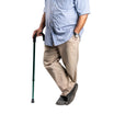 ARREX MS330 WALKING STICK