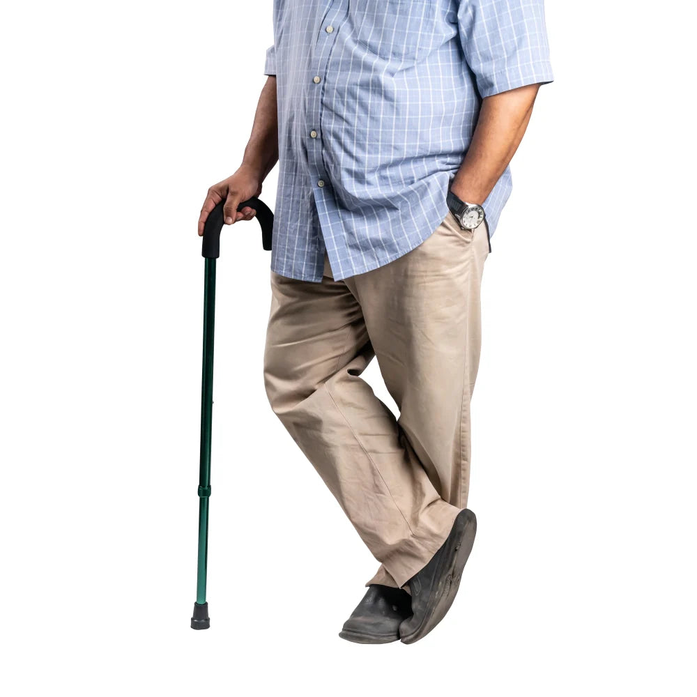ARREX MS330 WALKING STICK