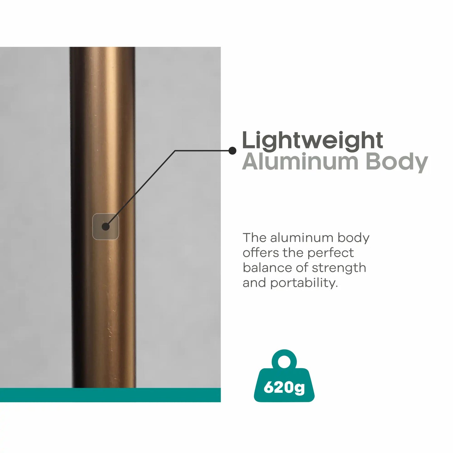 Lightweight Quad-Base Adjustable Walking Stick for Support ARREX MS360 AL