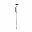 Folding Walking Stick - ARREX MS70